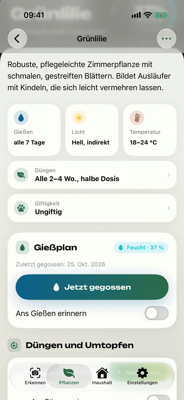 Pflege und Gießplan