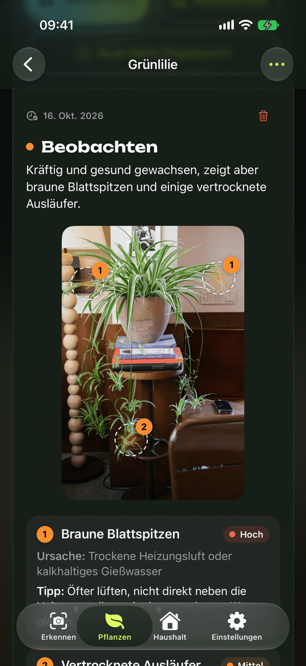 Pflanzen-Check mit Befund, Ursache und Maßnahmen